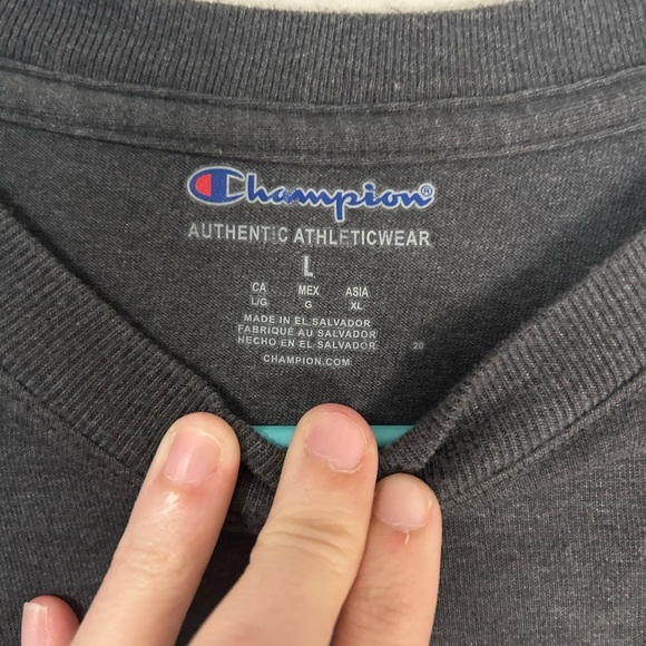 Champion Men's Gray T-Shirt, Size L - Picture 3 of 7